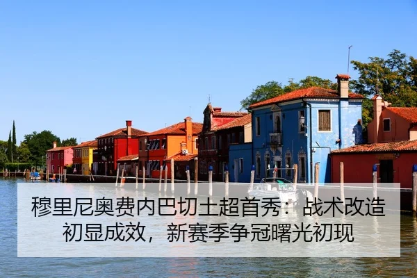 mu-li-ni-ao-fei-nei-ba-qie-tu-chao-shou-xiu-zhan-shu-gai-zao-chu-xian-cheng-xiao-xin-sai-ji-zheng-guan-shu-guang-chu-3-469.jpg