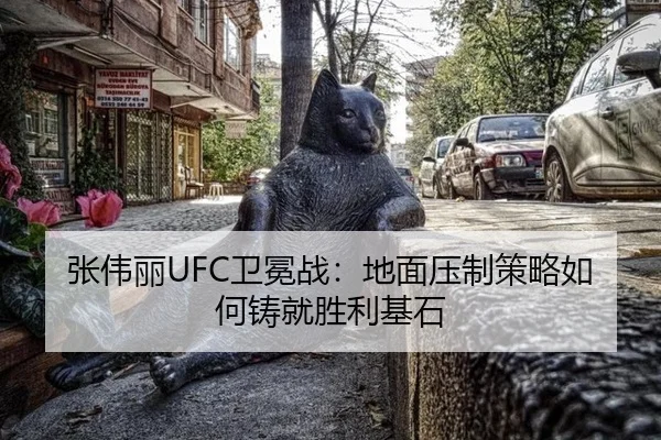 张伟丽UFC卫冕战：地面压制策略如何铸就胜利基石