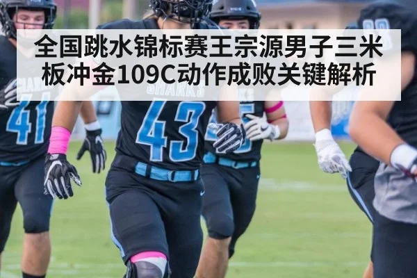 全国跳水锦标赛王宗源男子三米板冲金109C动作成败关键解析