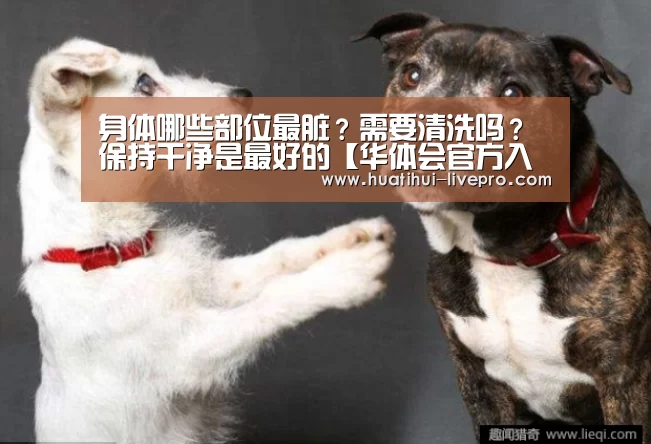 身体哪些部位最脏?需要清洗吗?保持干净是最好的【华体会官方入口】(图2) 华体会官方入口