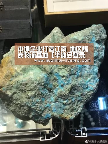 本埠企业打造江南 地区煤炭物流基地【华体会登录入口】(图4) 华体会APP下载