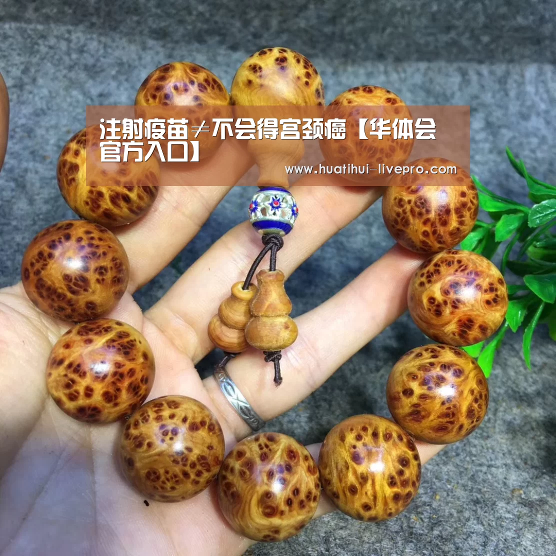 华体会登录入口