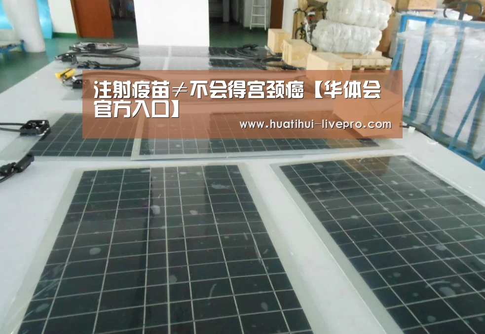 华体会登录入口